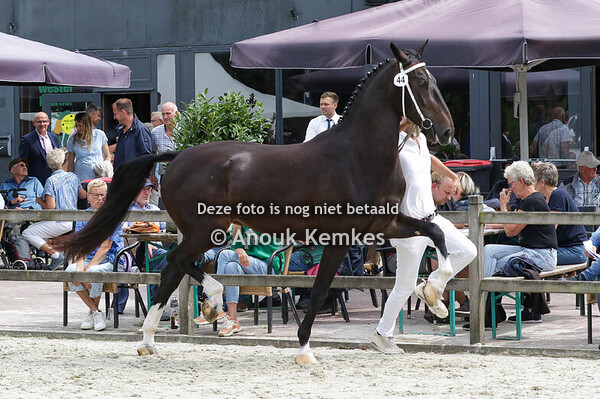 044 - RULONY LANTO HBC X WATERMAN J. DIJKSTRA, OUDWOUDE