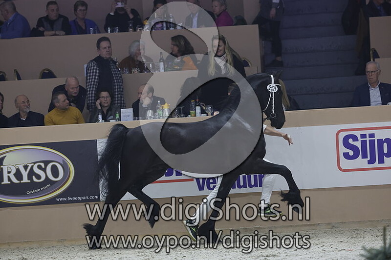 Matz fan de Groenesteegh v. Willem 508 253