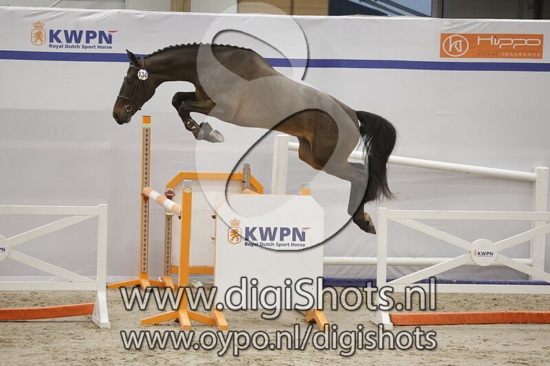 Rockykaat v. Opium Jw Van De Moerhoeve Tn - 134