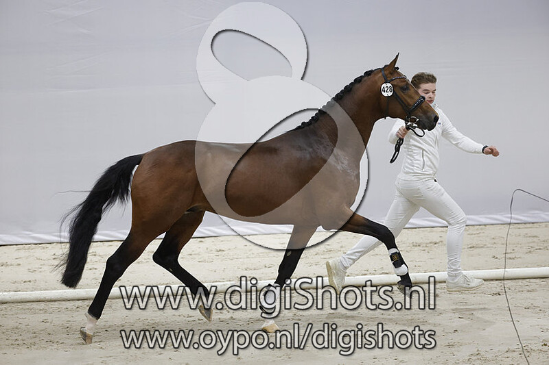 O Toto van de Wimphof v. Glock's Toto Jr