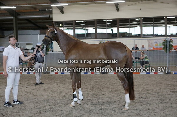 100 Olivia K (Furst Jazz x Acacia v. UB 40)