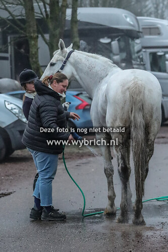 22 Rossum 26-12-2024