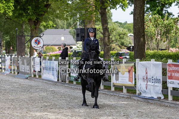 Rubriek 13. Bestgaand rijpaard 5 en 6 jarige hengsten en ruinen