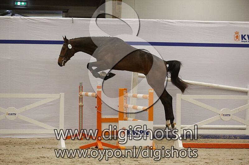 Sourkhan Especiale v. Dourkhan Hero Z