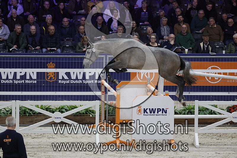 Pur Sang v. F One USA - 062