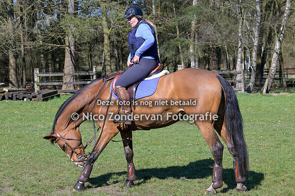 Crossles 16-03-2025 12:00 uur