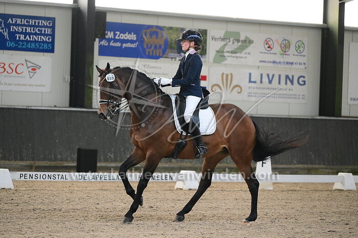 Puck Vermeulen - Hamalia