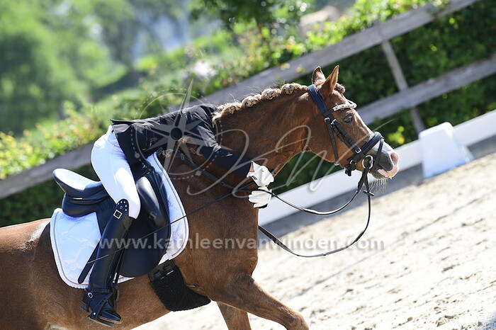 Lizzy Cloo - Silver Lady