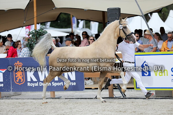 05-08-2022 KWPN Kampioenschappen Gelders Paard