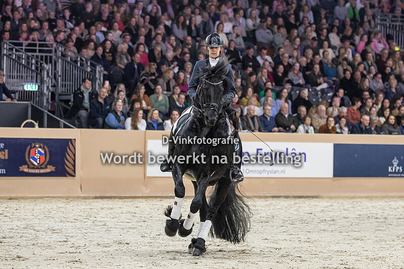 Hengstenkeuring 2023 OHZ Corina vd Bunt Matthys 504
