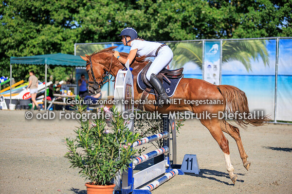 Outdoor Geldrop ClrRnd 70 04-07-25