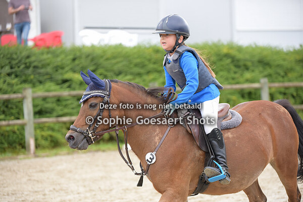 Ponies Clear Round 60