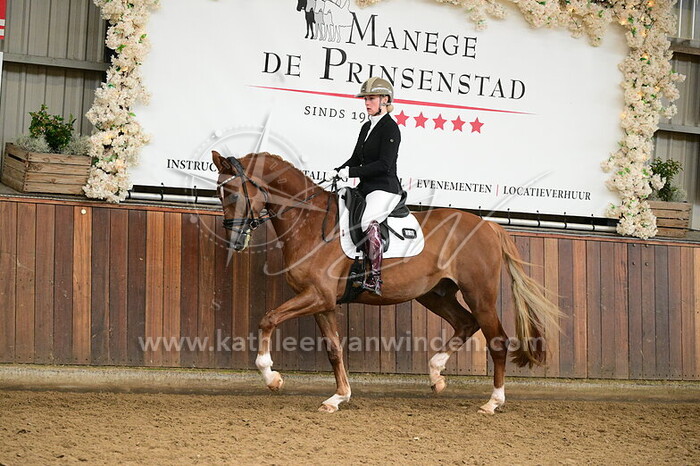 Charlene van Zon - Sillyrava