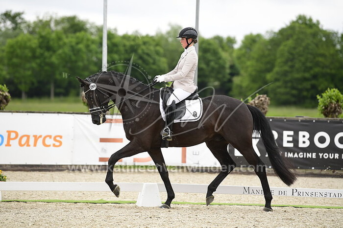 Dana van der Meer - Ouzo