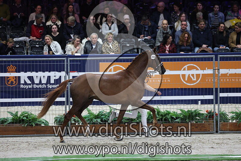 Sheeran LH v. Bonjour