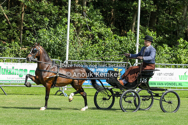 Hackney Kleine Limiet