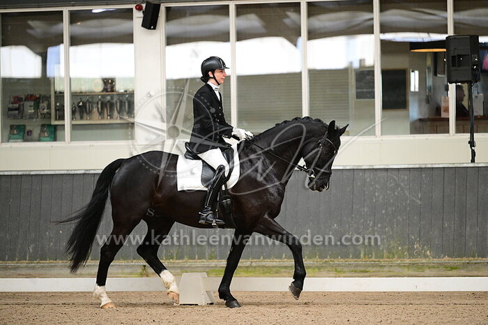 Naomi Swaab - Liberty