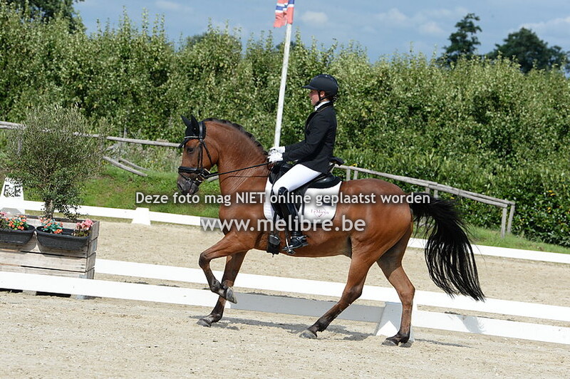 Young Rider Individueel