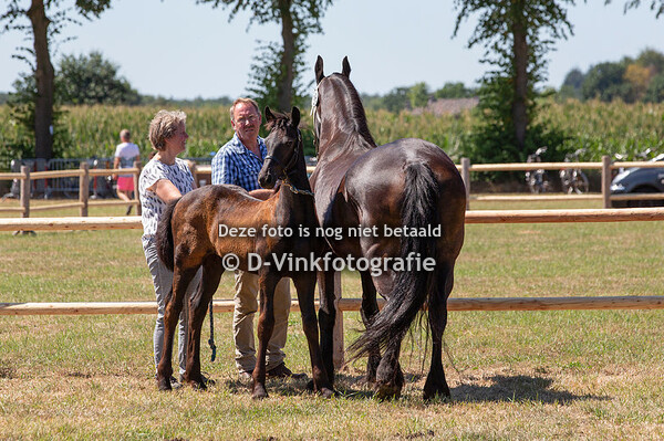 39. Iske Onder 't Zwaluwnest