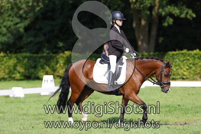 Ring 10 's middags vanaf 13.30