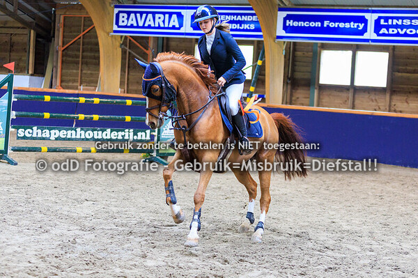 Geldrop Hippique pony 110-120de 12-10-25