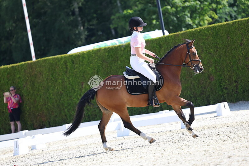 503_DENEKAMP_PONY'S_ring1+3_22juni2025