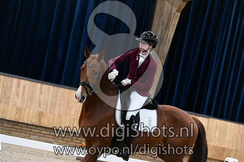 Kantjil van t Zelfert