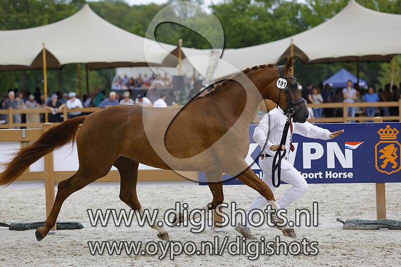 Pheline LL v. Blue Hors Fifty Cent