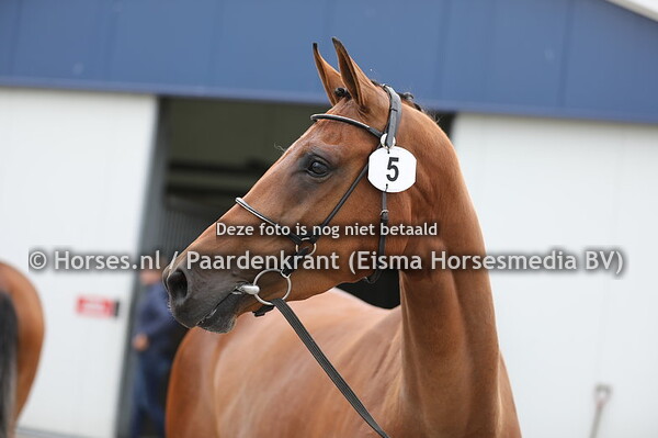 5 Milithya v Etoulon