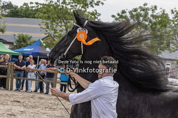 100. Lotte fan Bloemhof