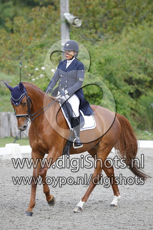 Daarjeeling de la Guiche