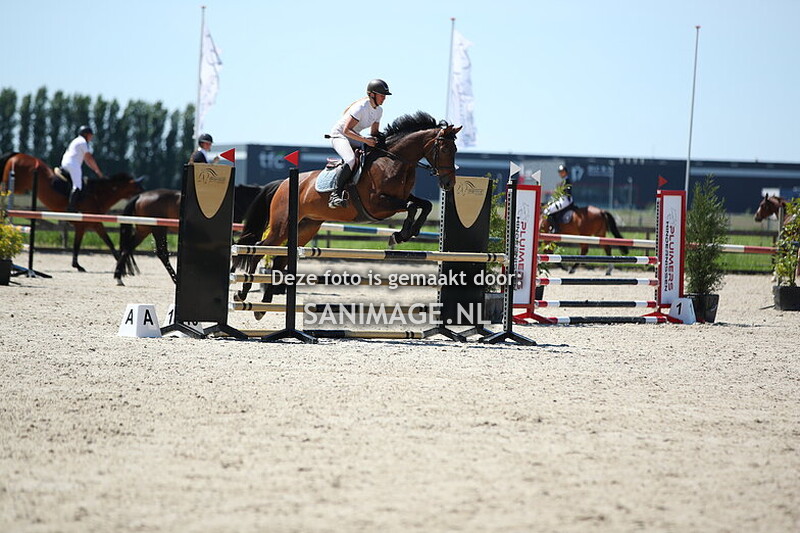 Reigersburgh Lentespringen 11-05-2025 Paarden 90 cm