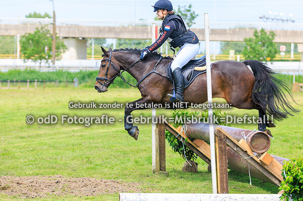 SGW Heerjansdam L-Paard M-Pony 02-06-24