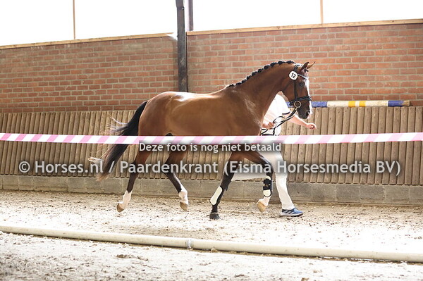 12 Rhythm Divine (First Date x Kaeyla v. Ferguson)