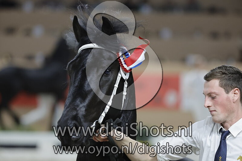 Mindert K v. Elias 494 005