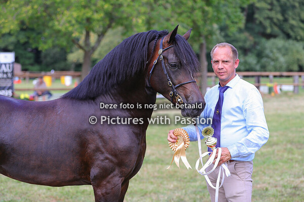Sektion D 3 jährige.