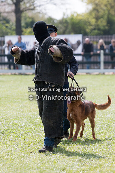 13. Show van der Kamp