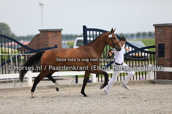 8 Lacomonique v Hermantico