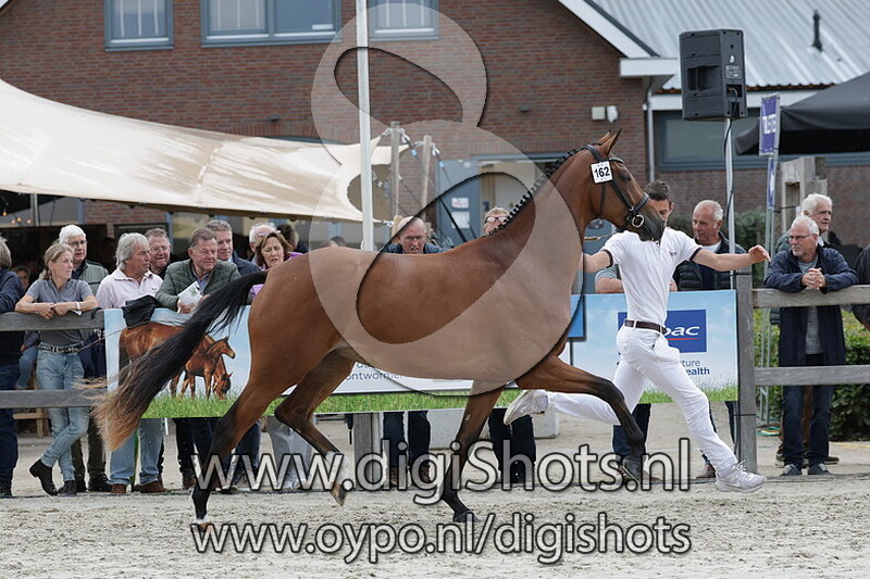 Siesiezelma v. Bordeaux