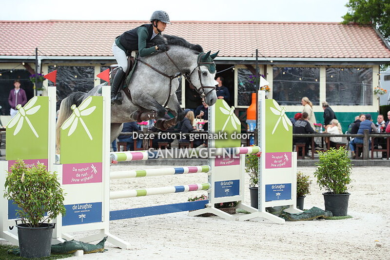 Jumping Tolboom 29-05-2025 Springen Paarden 5-jarige 110 cm