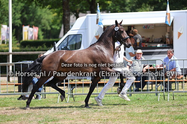 53 Pippa Dodessa van Heemstate