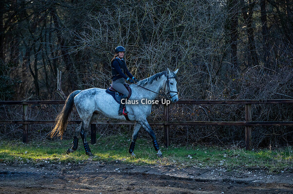 Oefencross TCN Sporthorses 28-02-2021