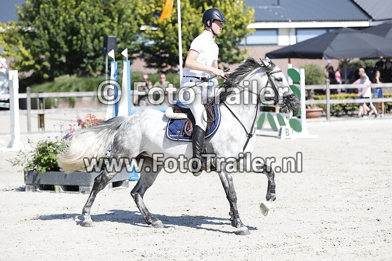 anthony schreinemachers