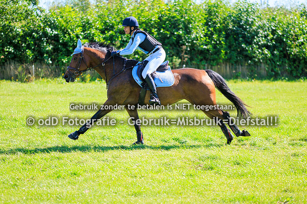 SGW Geestmerambacht paard L pony M 07-09-25