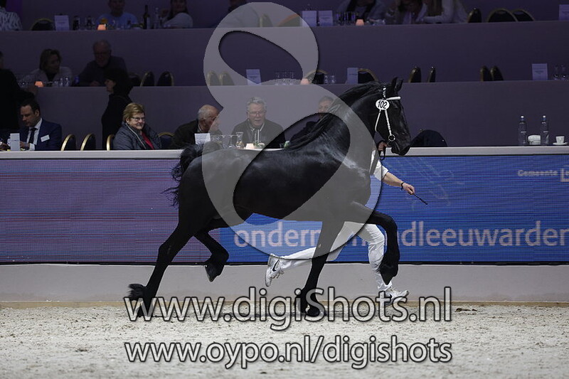 Storm Applonia 102 v. Matthys 504