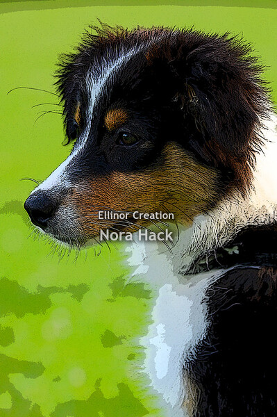 Vrijdag 27 augustus 2021