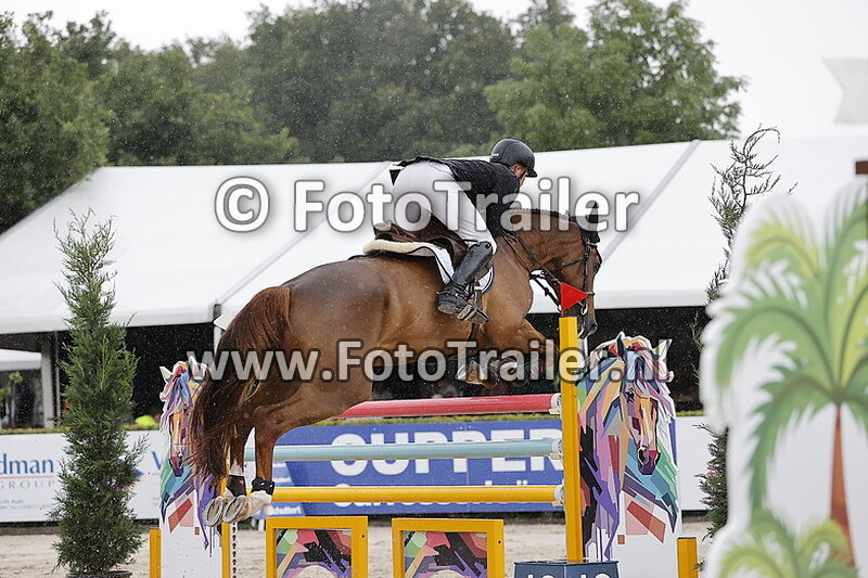 dennis van den brink