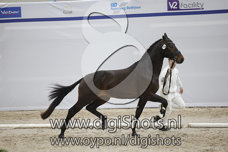 Parmenides v. Glamourdale - 369