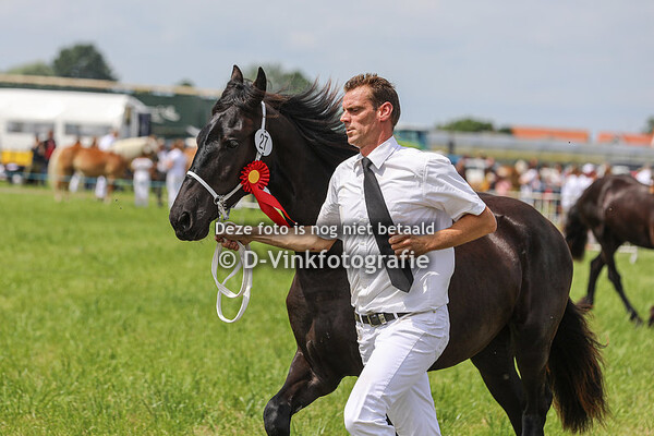 27. Porsche von Catarinaburg