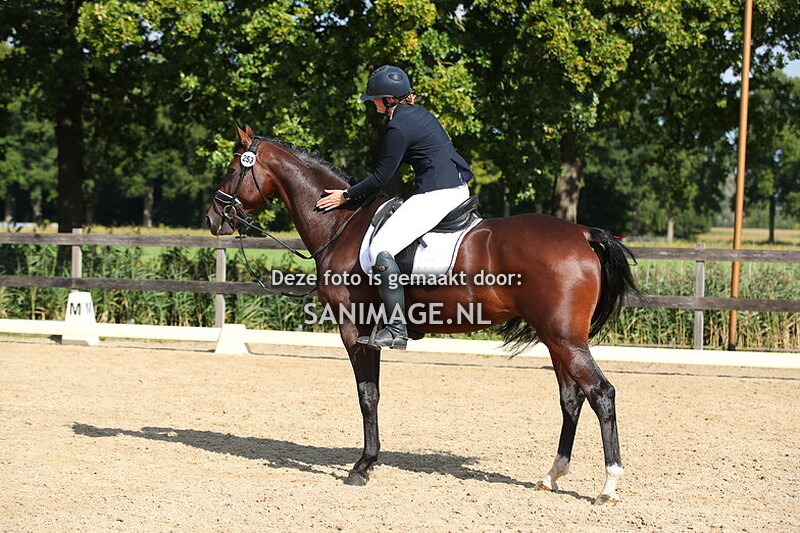 Manege Groenewoude Dressuur 14-09-2025 Ring 2 10.35 uur 